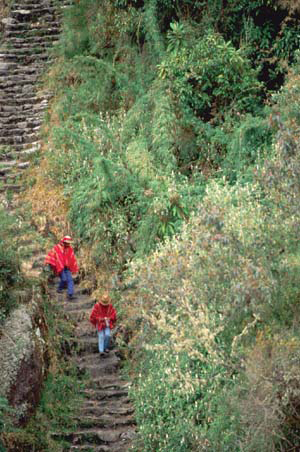 Inca Trail to Machu Picchu