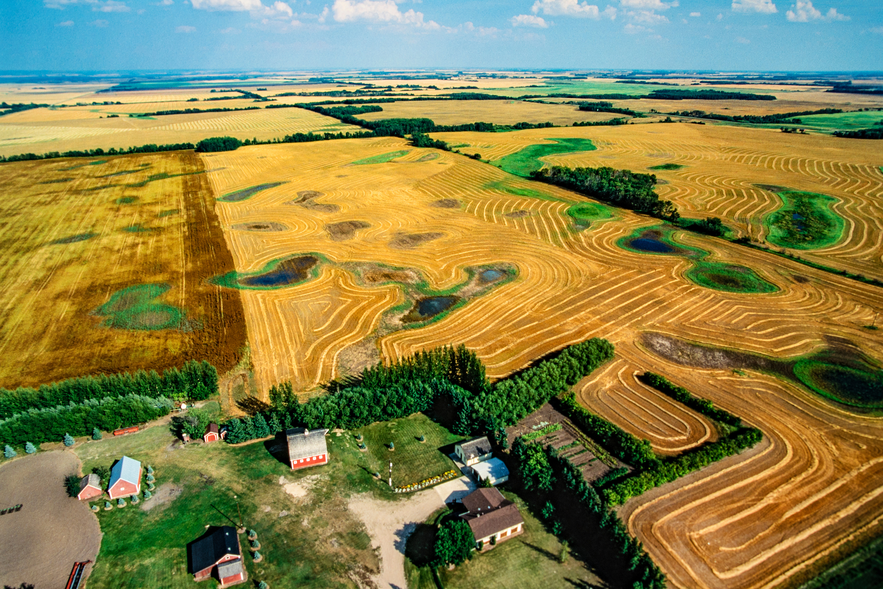 Farm in Saskatchewan