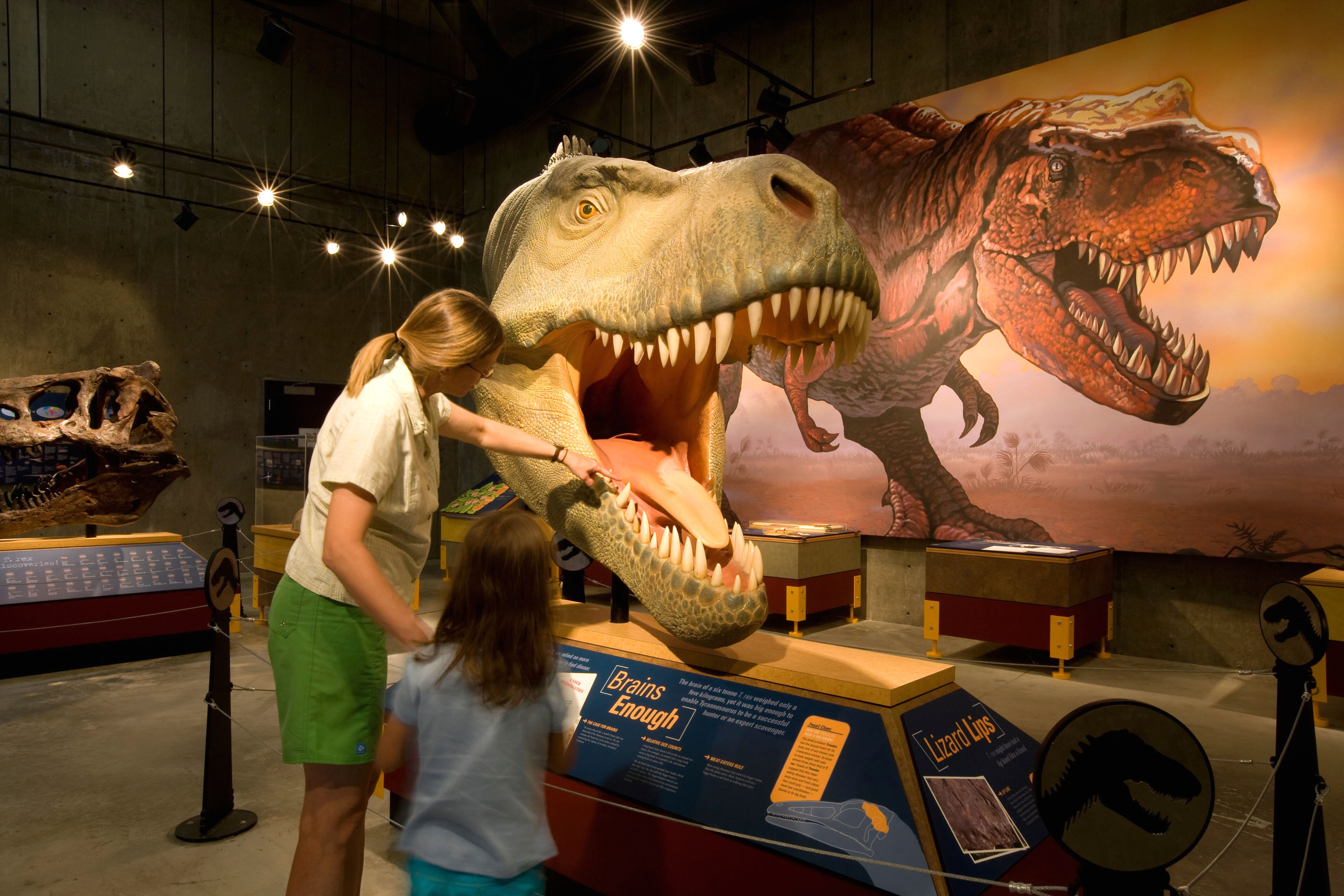 T.rex Discovery Centre in Eastend, Saskatchewan