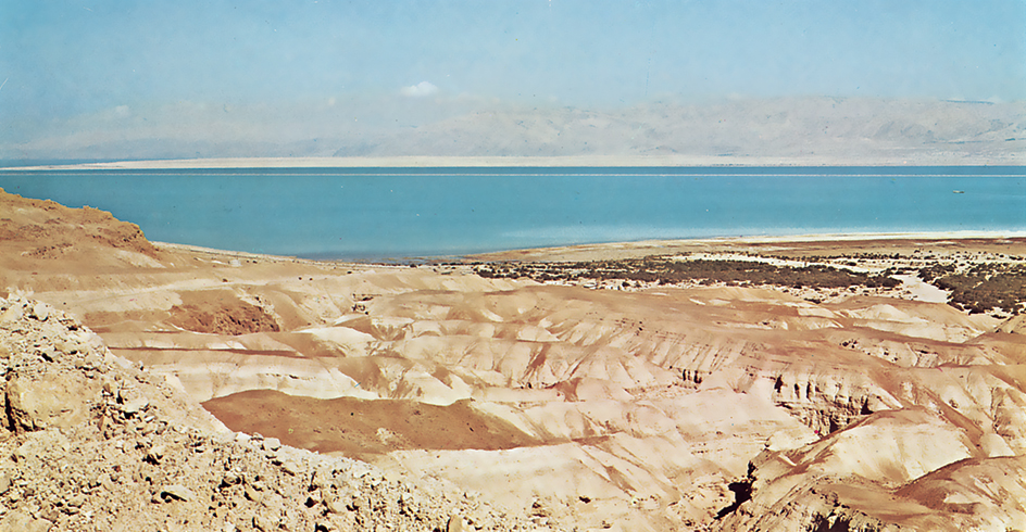 Shore of the Dead Sea