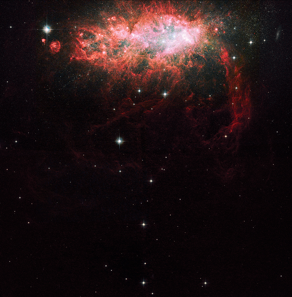 Irregular galaxy NGC 1569