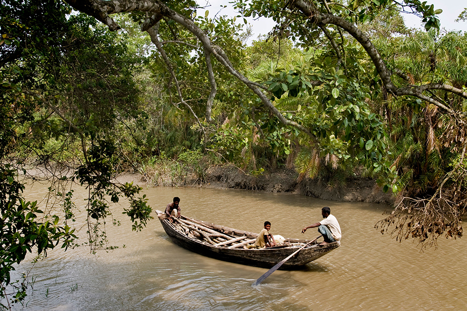 Sundarbans