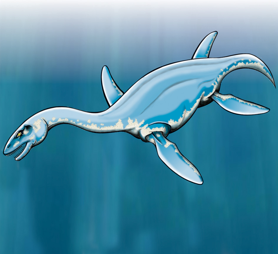 Plesiosaur