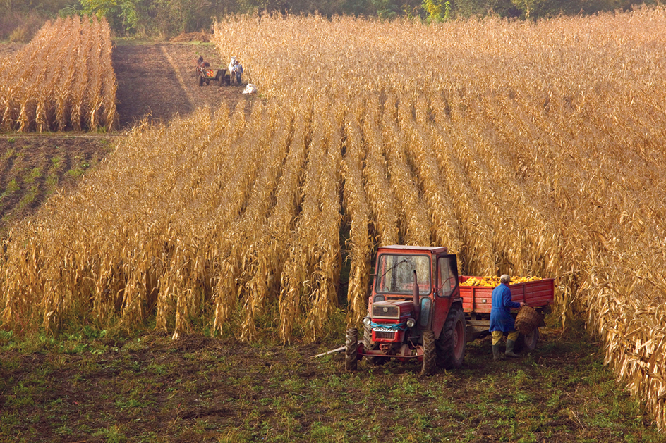 Farmers in Romania