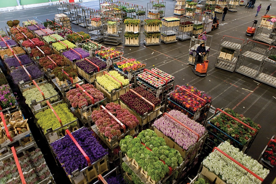 Aalsmeer flower auction