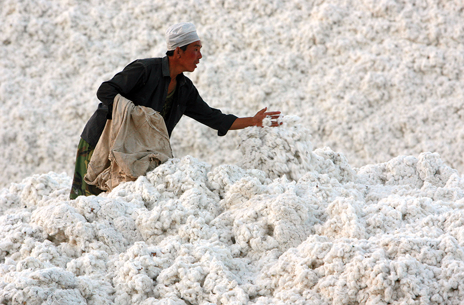 Cotton at a Chinese factory