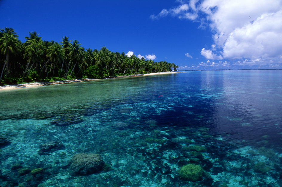 Coral Reef near Marshall Islands