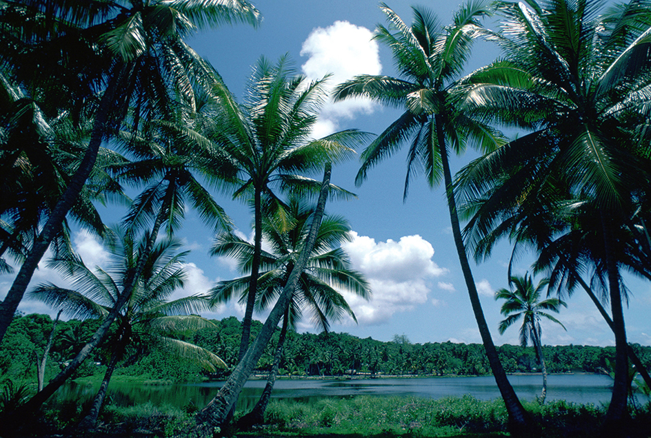 Lagoon in Nauru