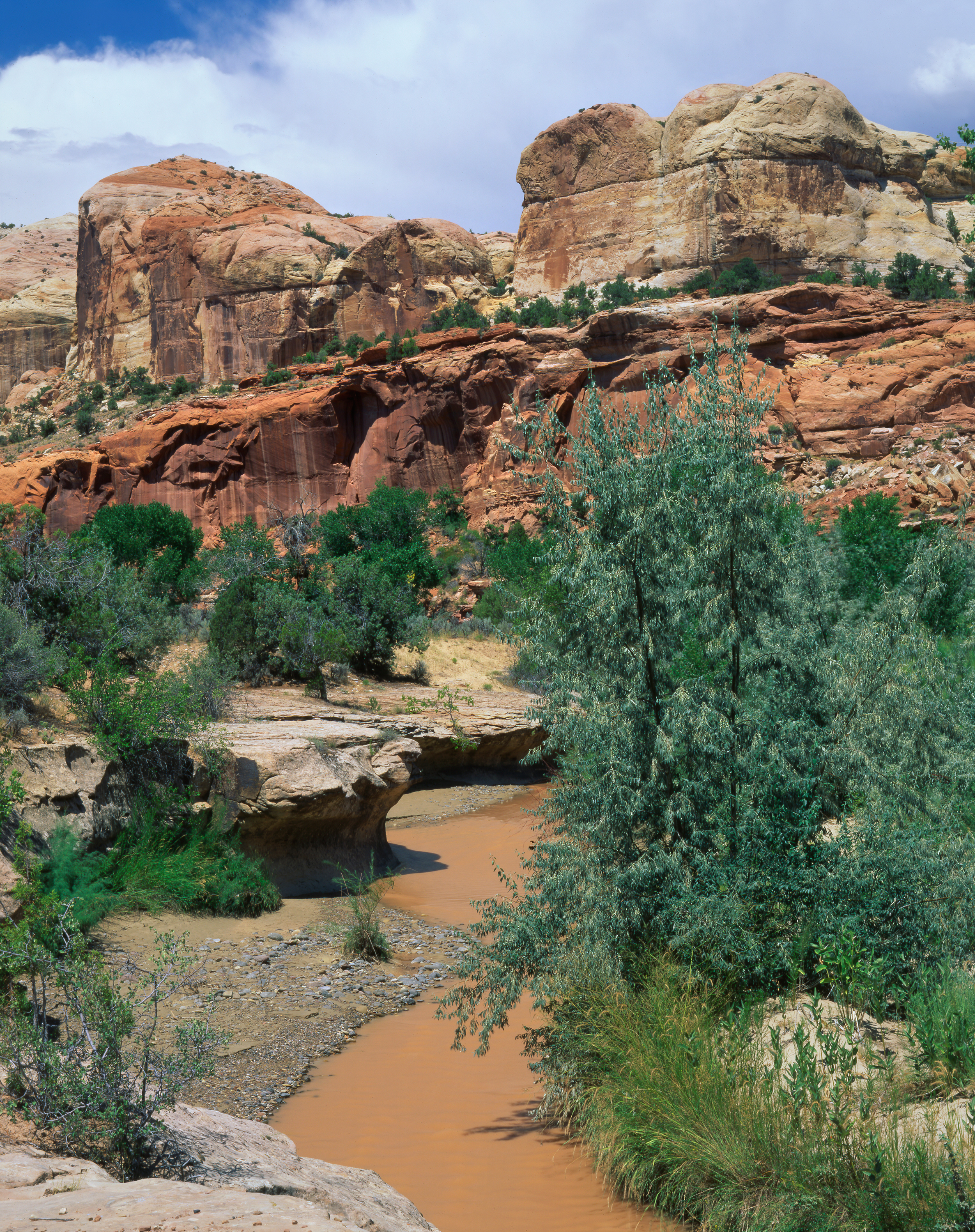 Escalante River