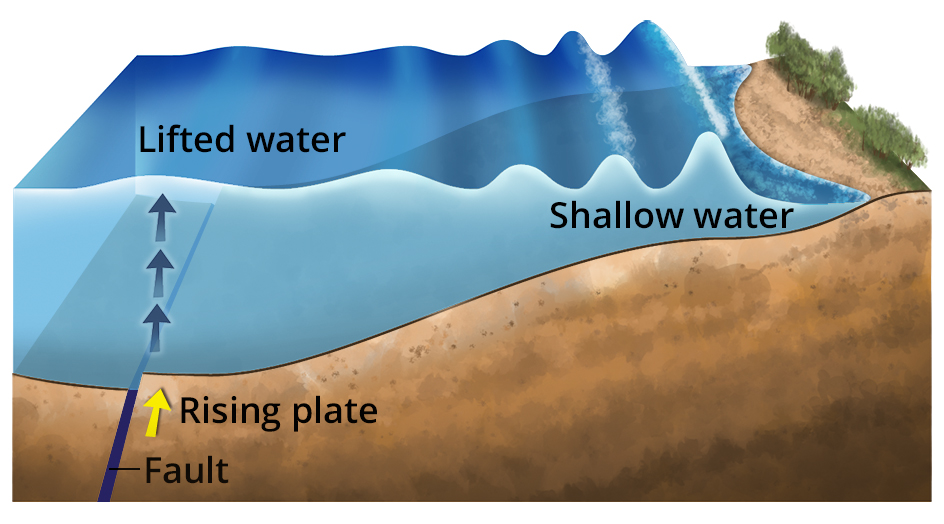 How a tsunami occurs