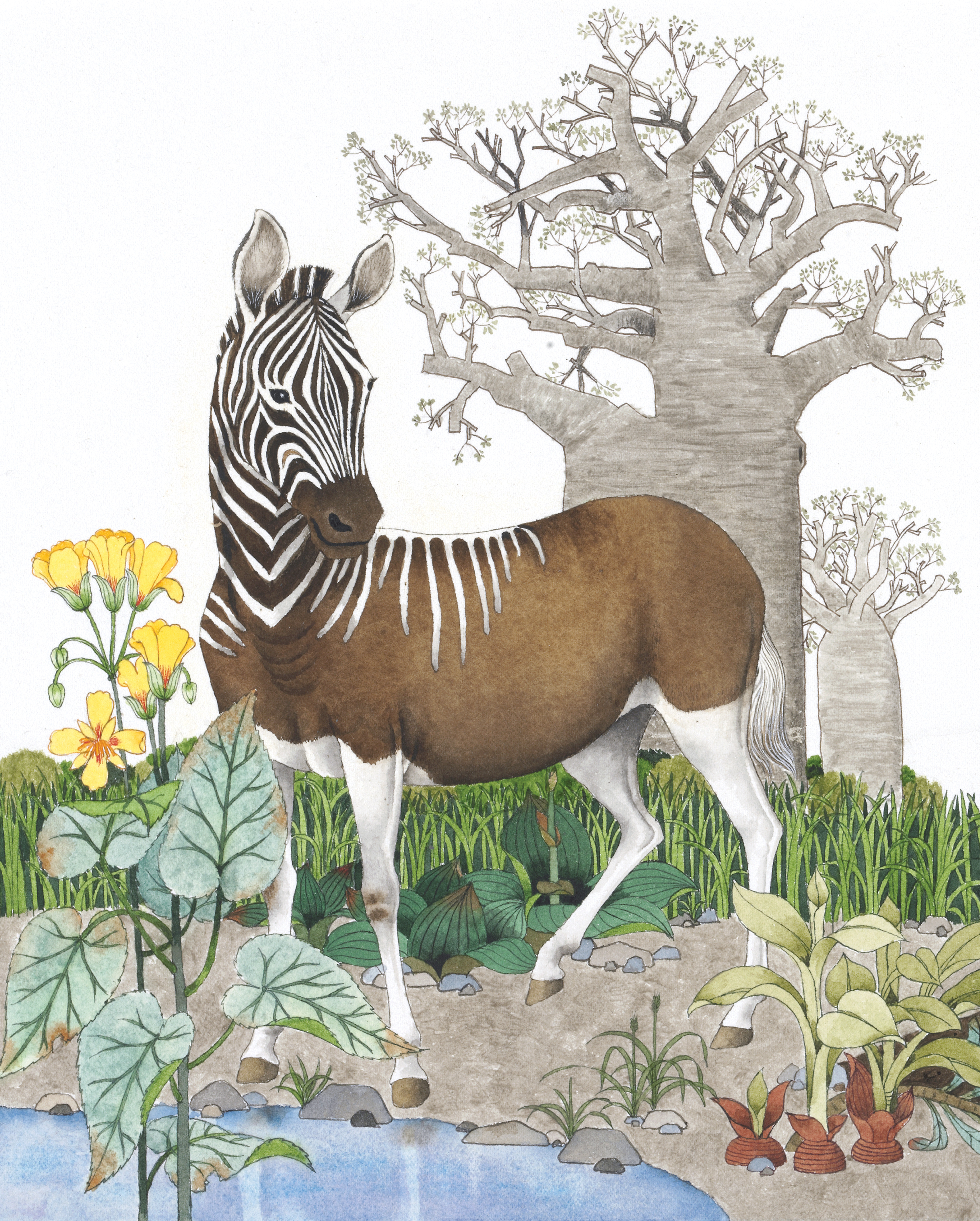 Quagga