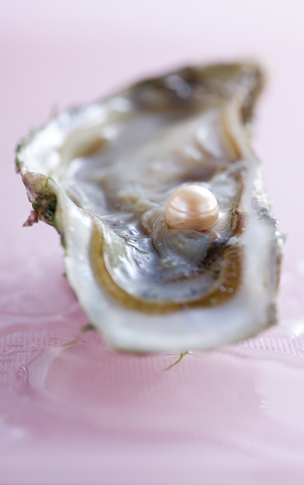 Pearl oyster