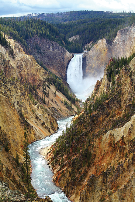 Yellowstone Lower Falls