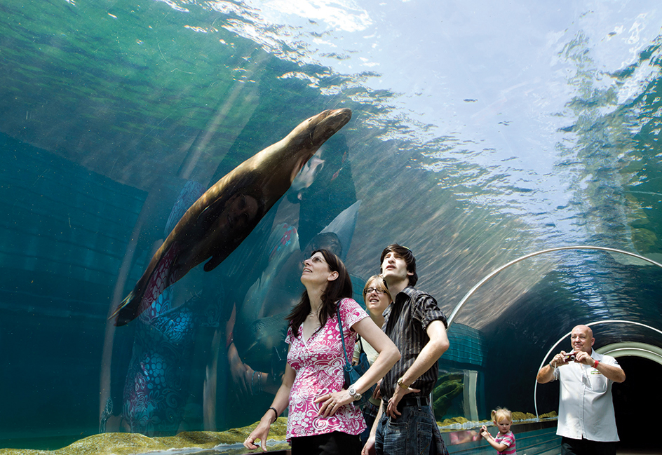 Underwater exhibit at a zoo