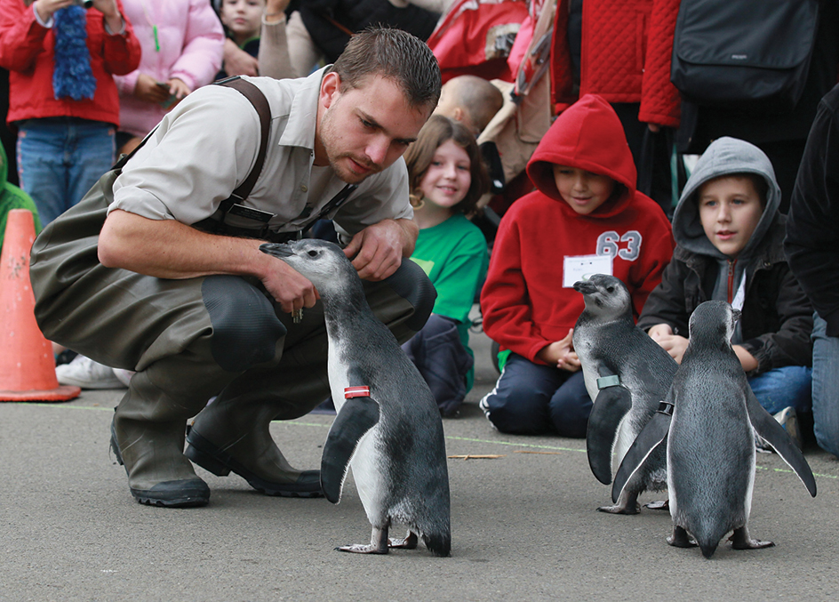 Children encounter penguins at a zoo