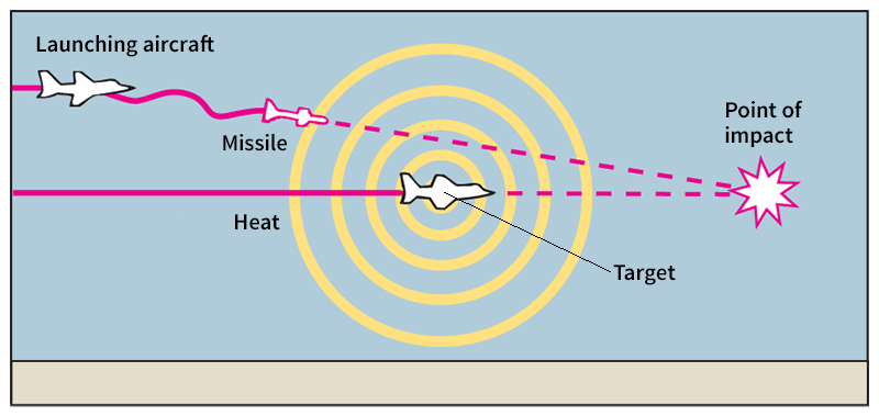 Homing guidance system