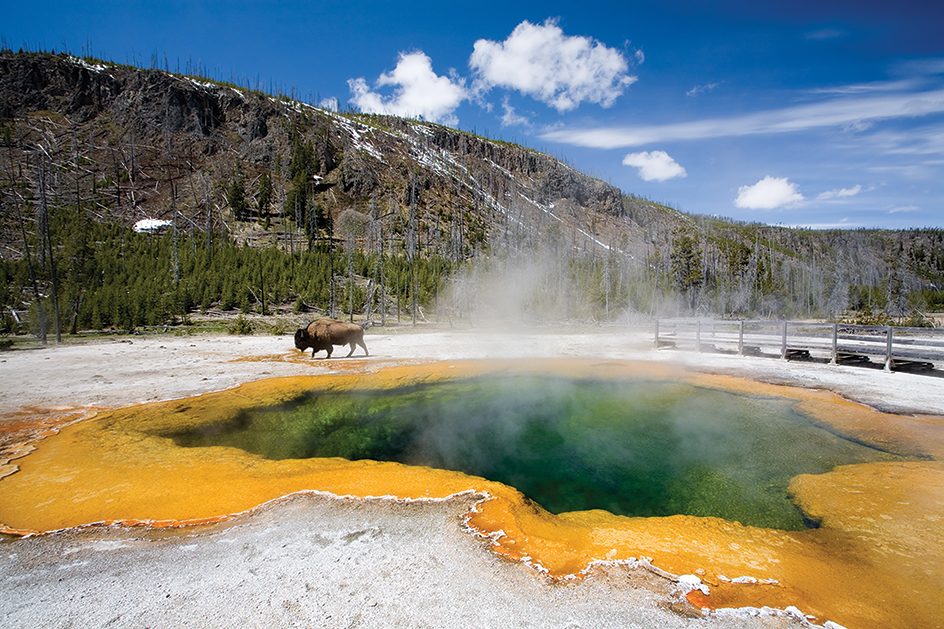 Geysers and hot springs of Yellowstone