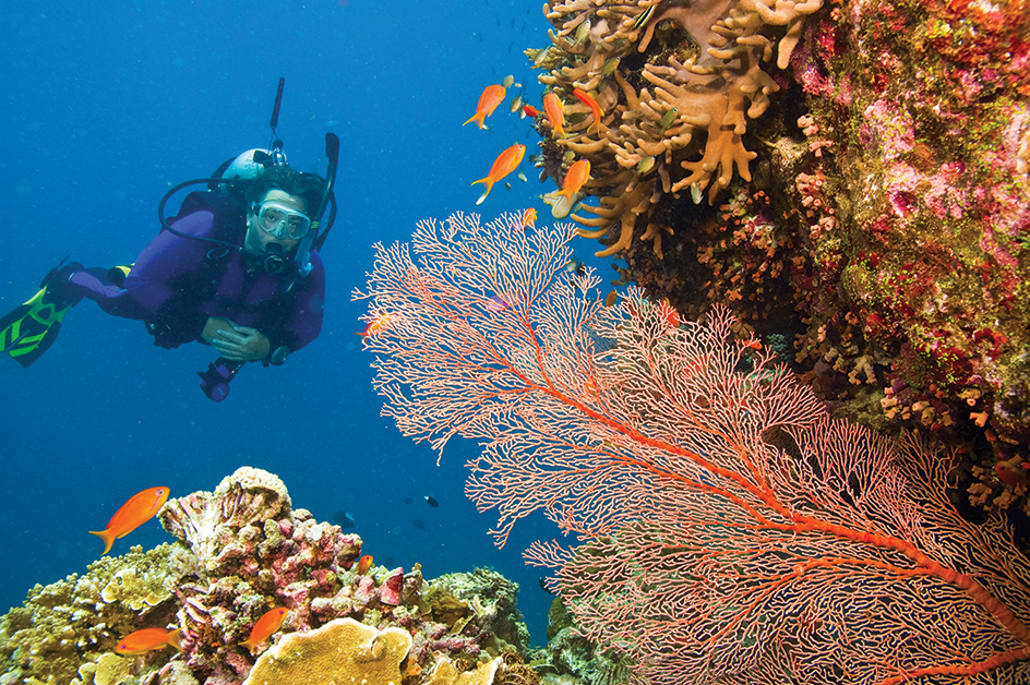 The Great Barrier Reef Marine Park