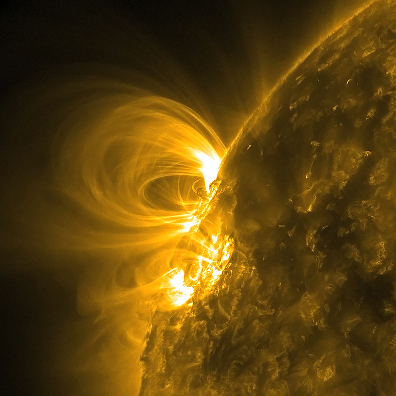 Coronal loops on the sun