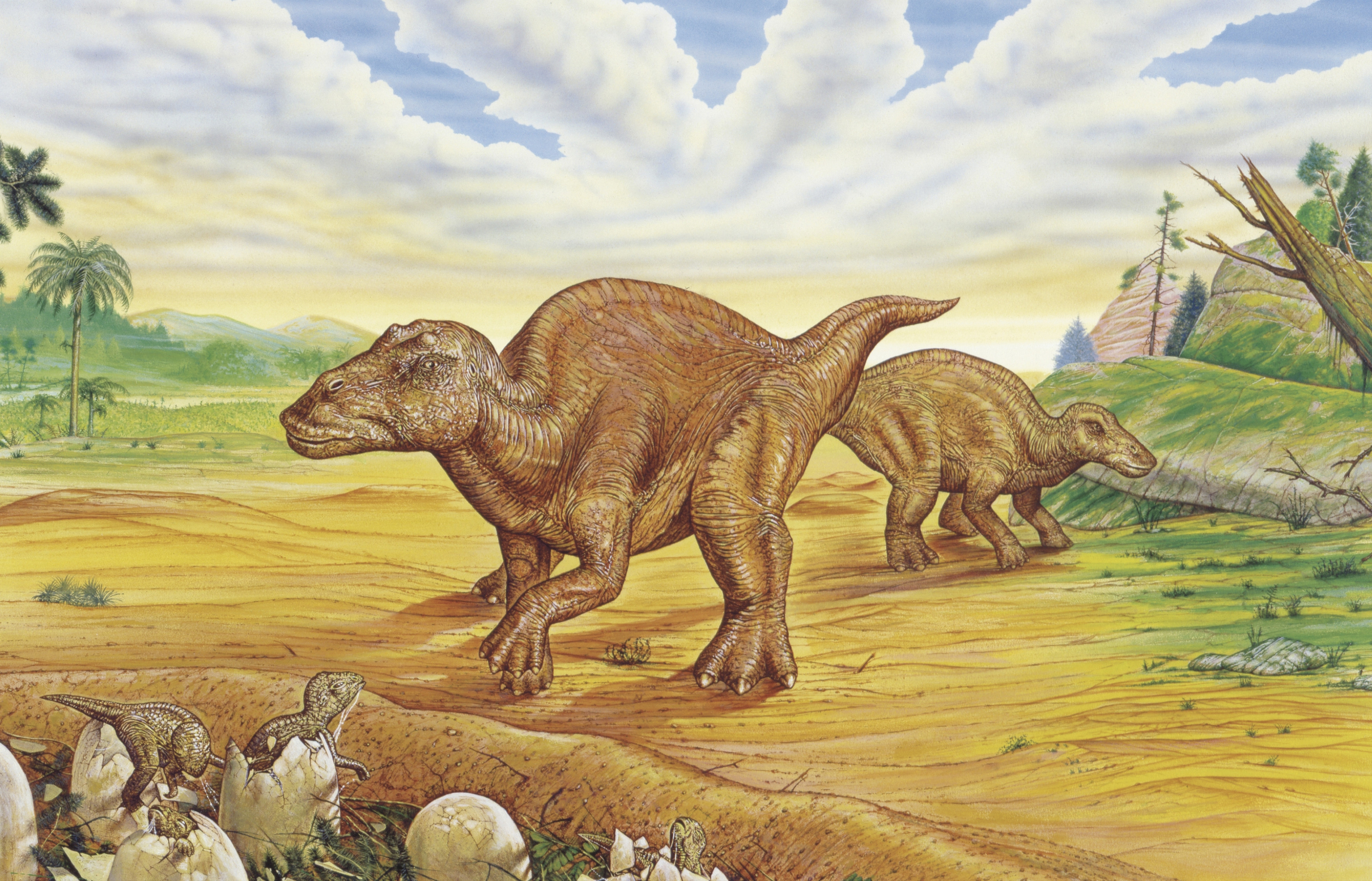 Maiasaura