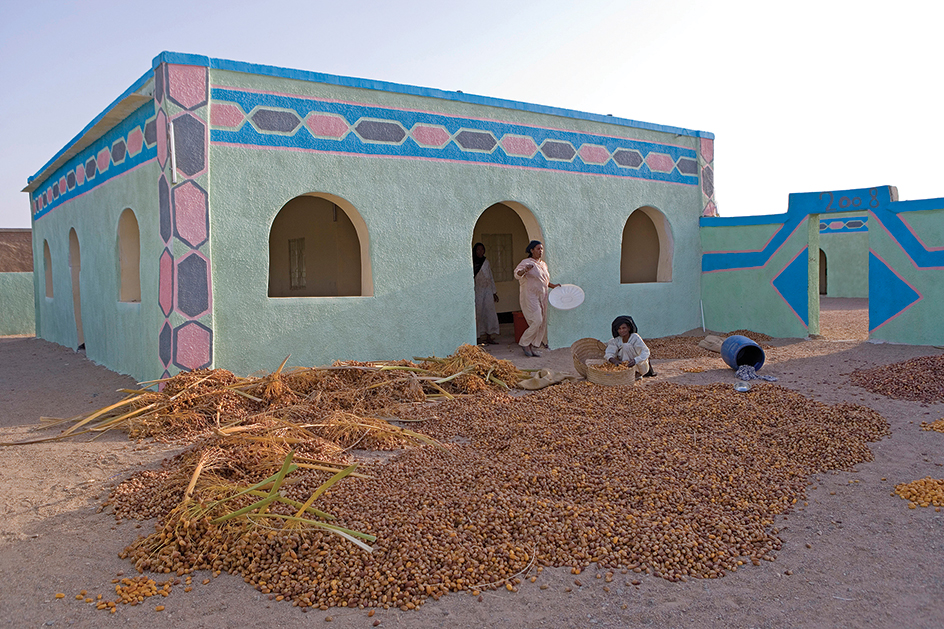 Sorting fresh dates