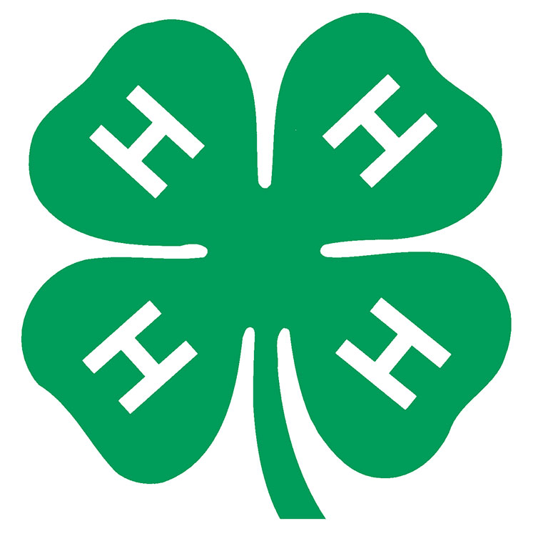 The 4-H emblem