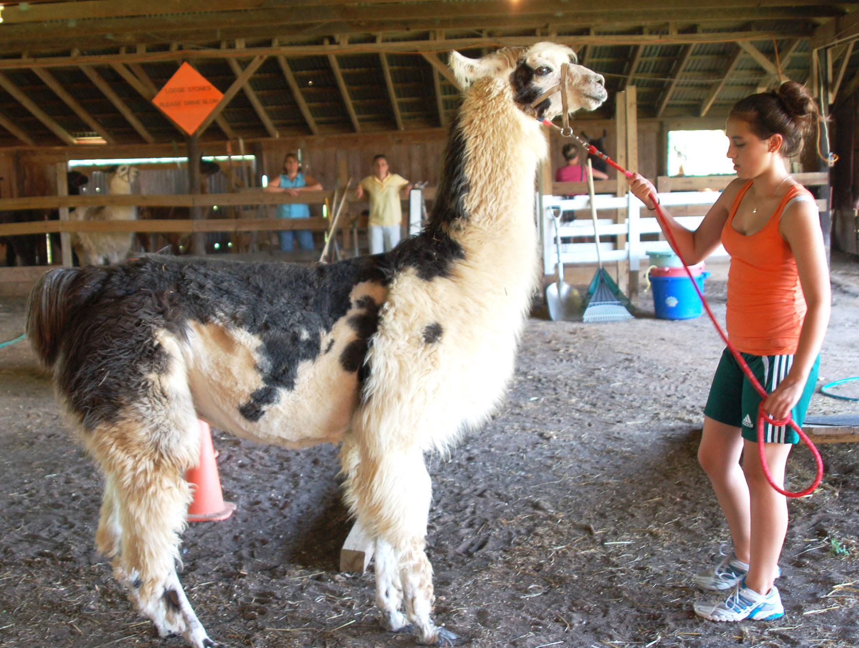 4-H farming activities