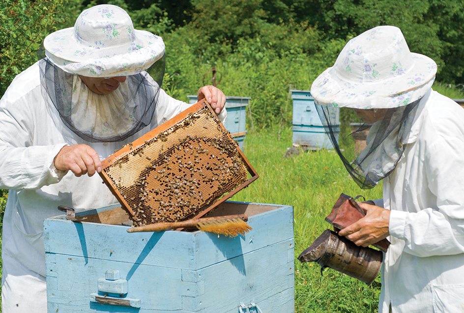 Beekeepers