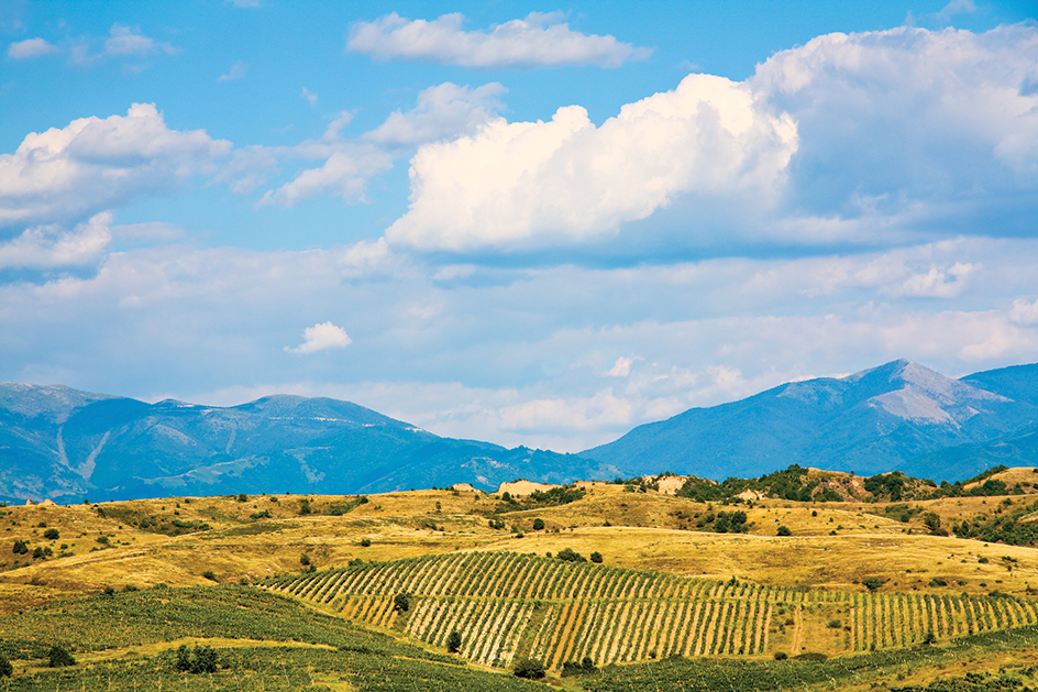 Bulgarian farmland