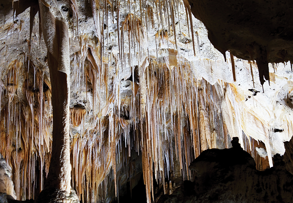 Carlsbad Caverns National Park