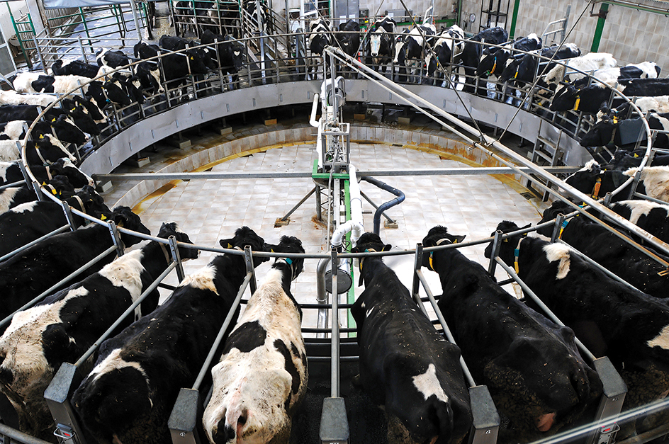 Milking parlor