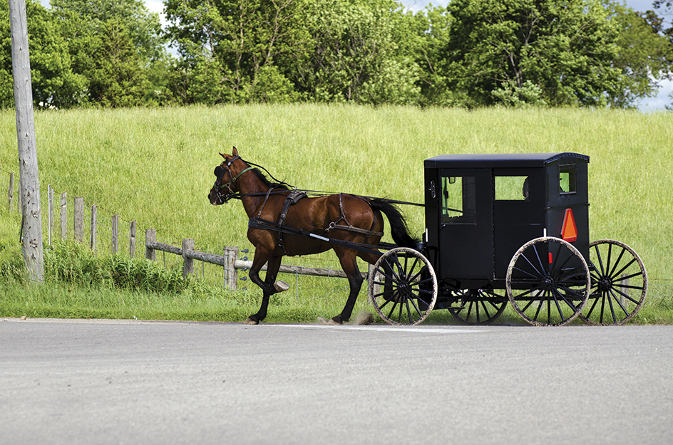 Amish carriage