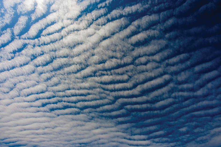 Altocumulus undulatus clouds