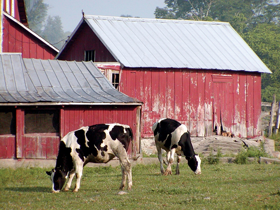 Barns serve many purposes