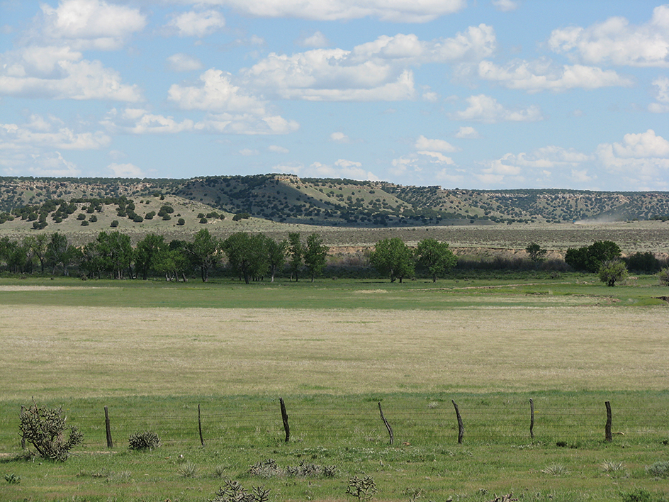 Grasslands in Colorado's Great Plains region