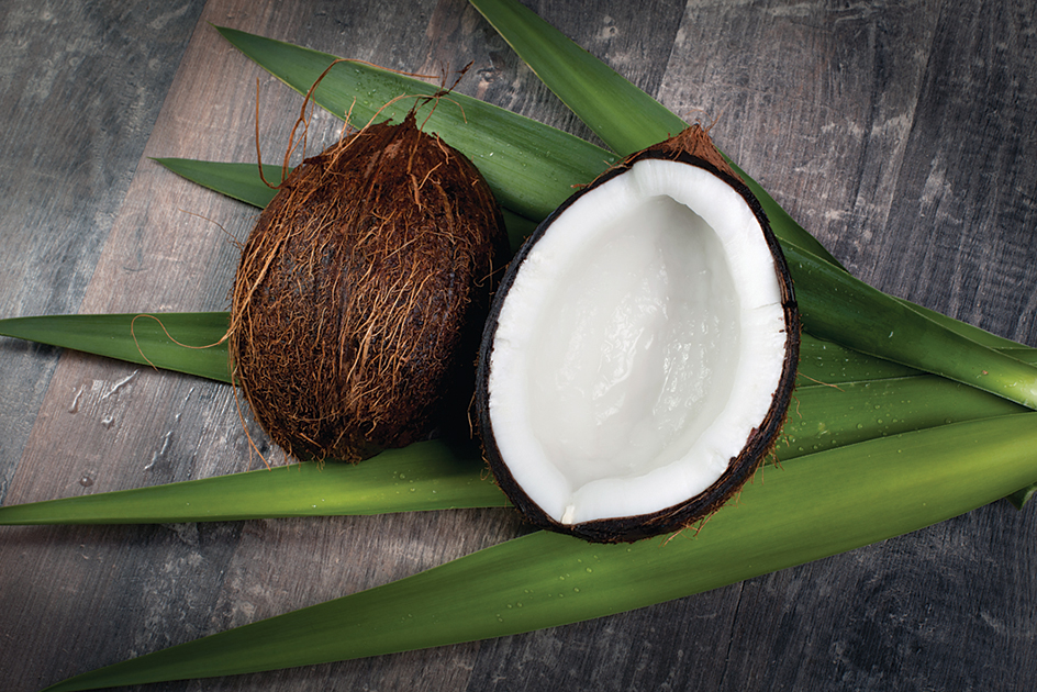 A coconut palm seed