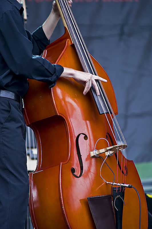 Bass, a large stringed instrument