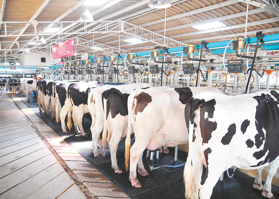 A milking parlor