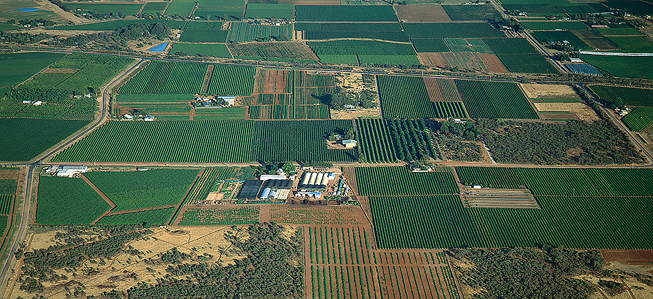 Farmland near the Murray River in Australia