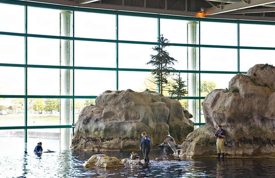 Chicago's Shedd Aquarium