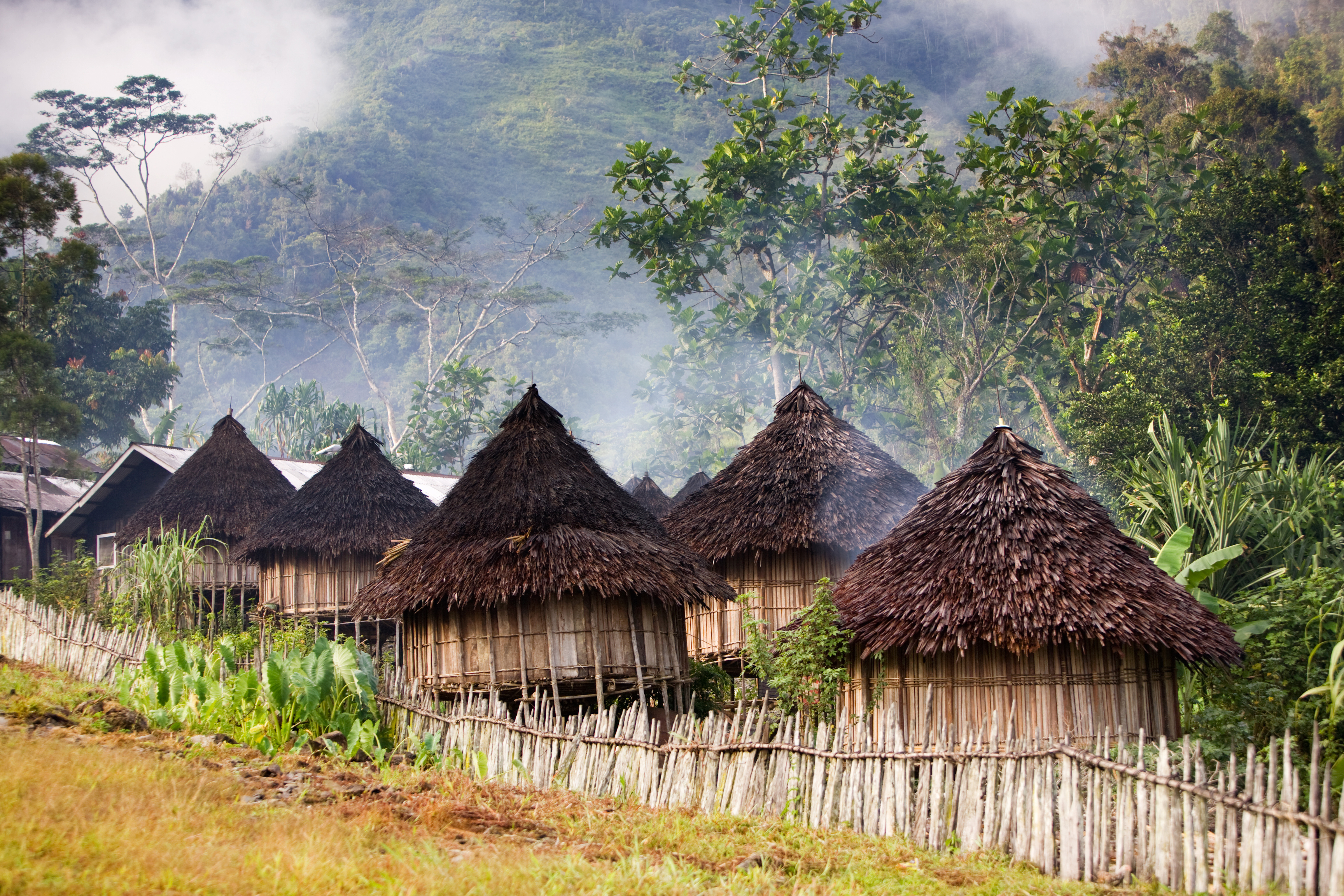 Mountain village in Papua, Indonesia