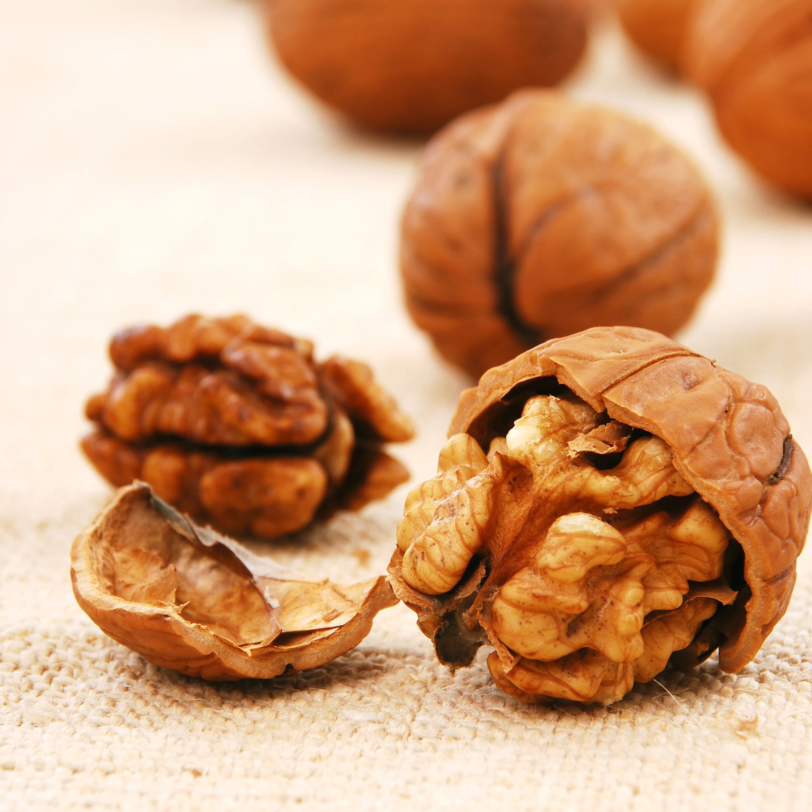 English walnuts have thin shells