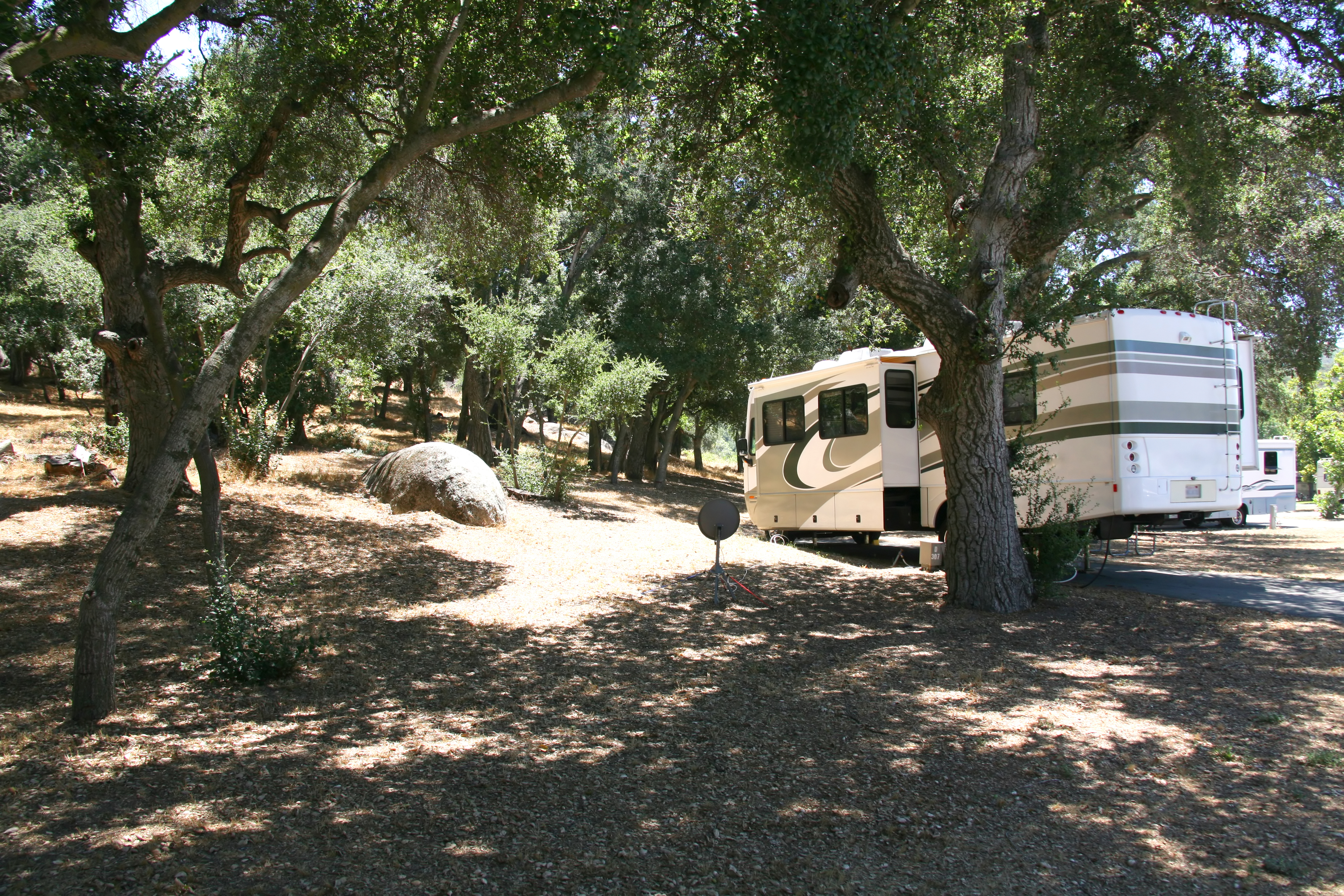 Forest campground