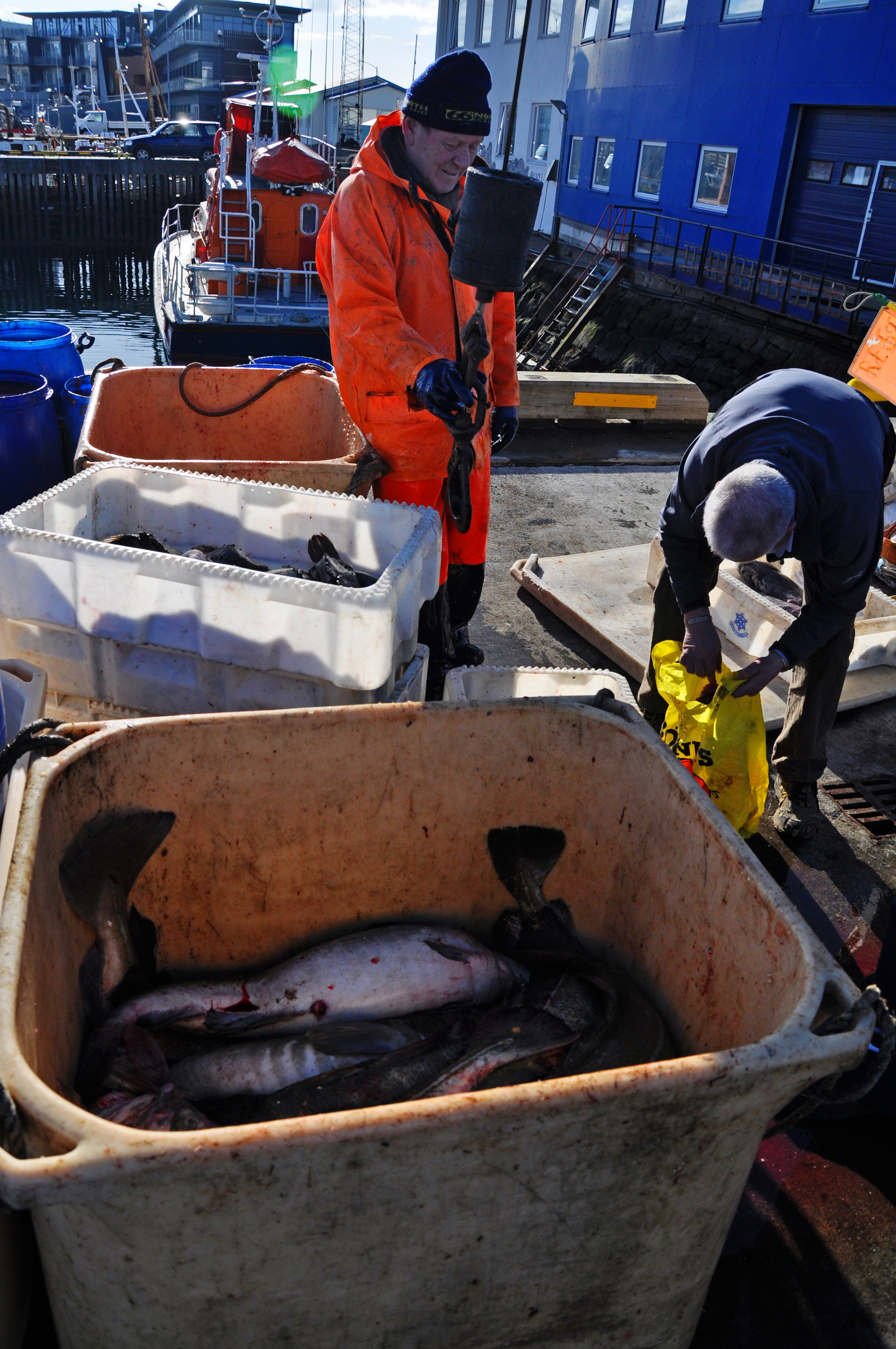 Fish processing, Iceland's most important industry