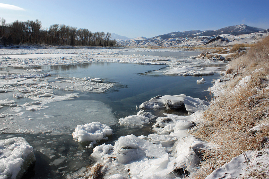 Yellowstone River in Montana