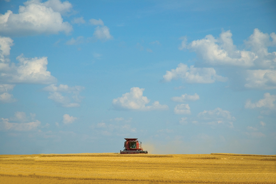 Wheat field in Kansas