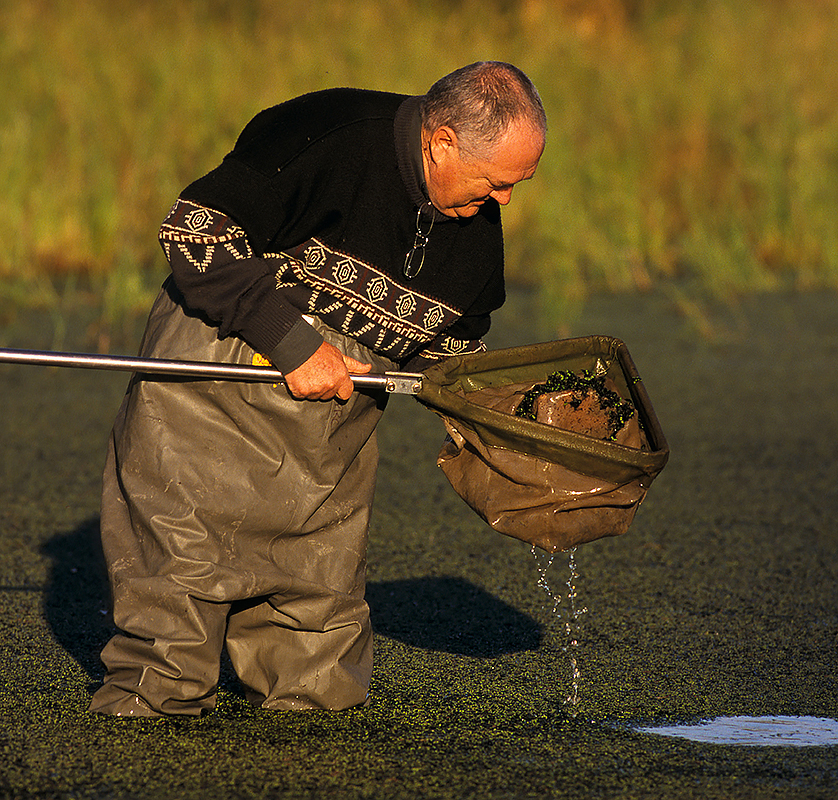 Ecologist collecting samples