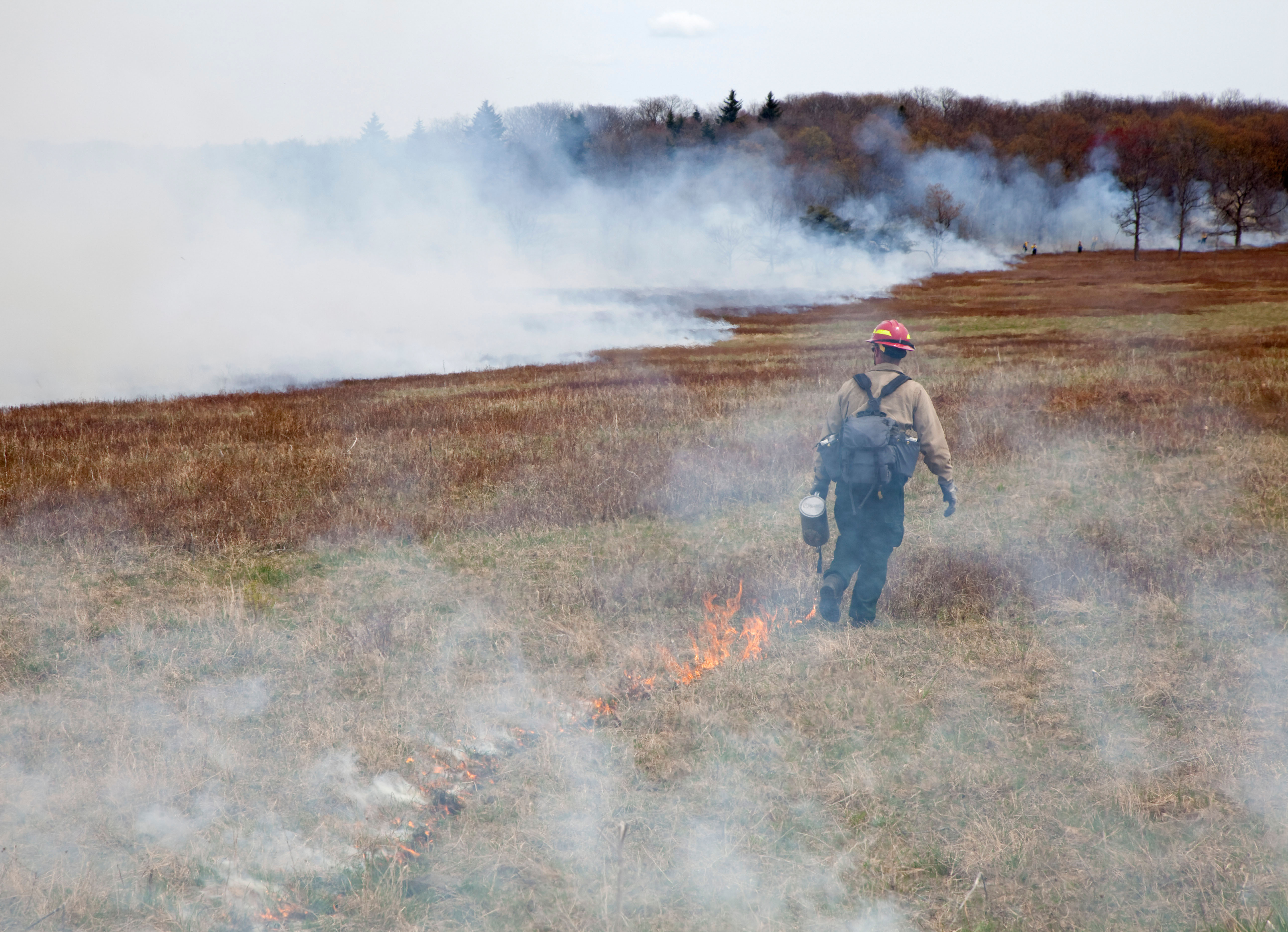 Prescribed burning on overgrazed land