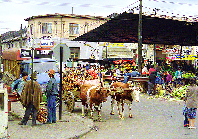 Outdoor market in southern Chile