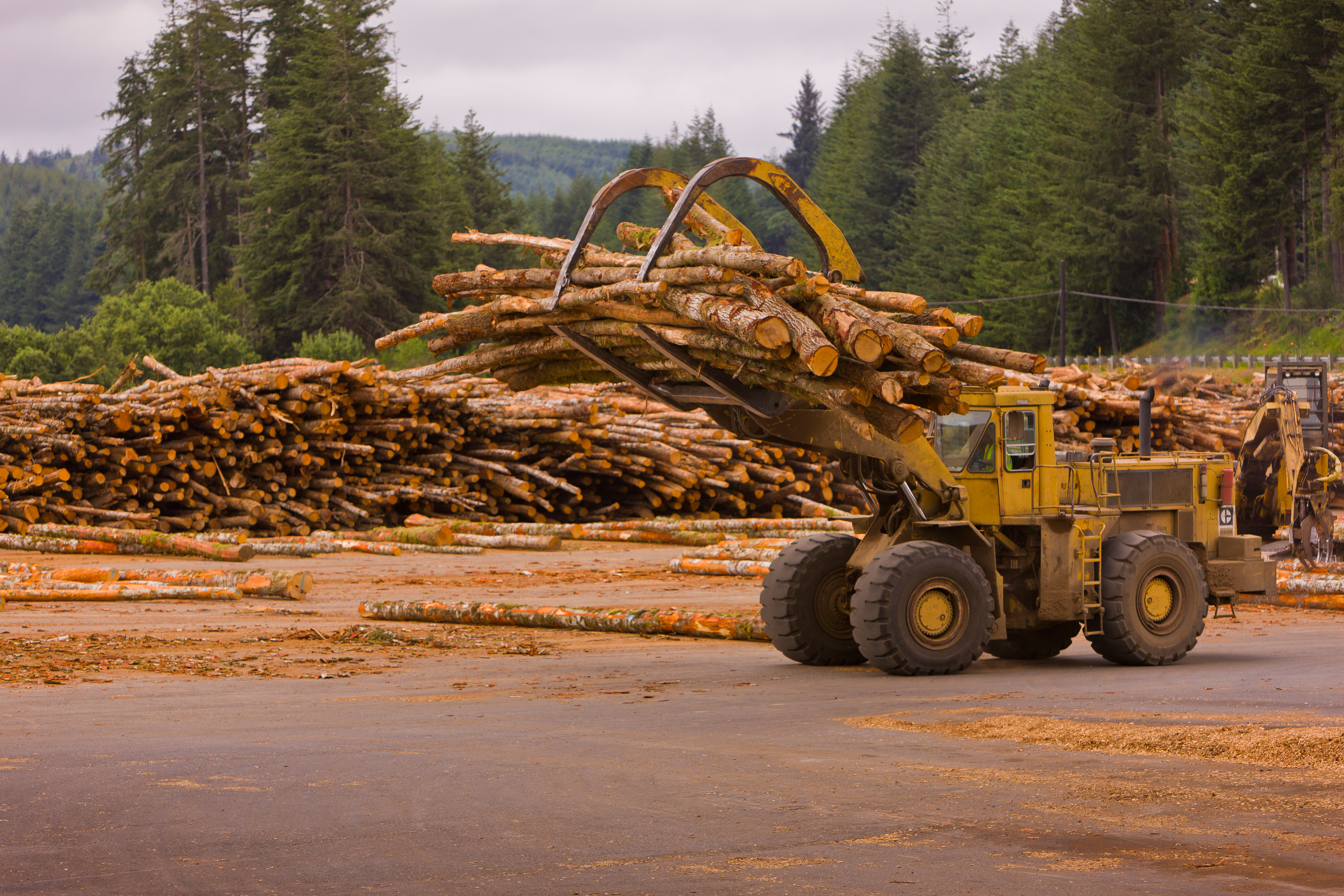 Oregon lumberyard